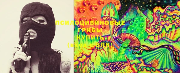 прущая мука Магас