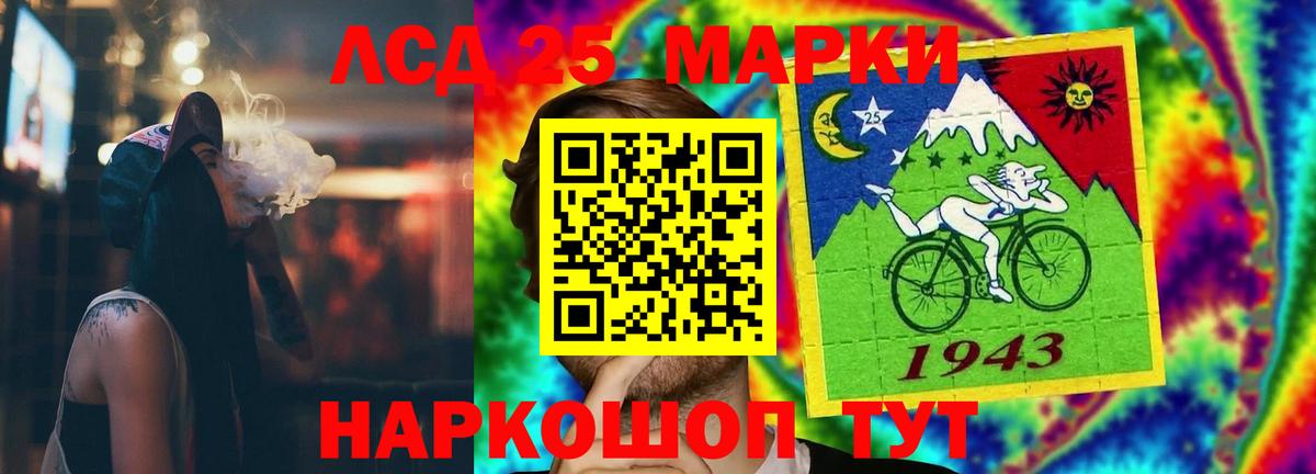 МЕФ Нововоронеж