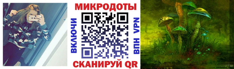 Галлюциногенные грибы Psilocybe Нововоронеж