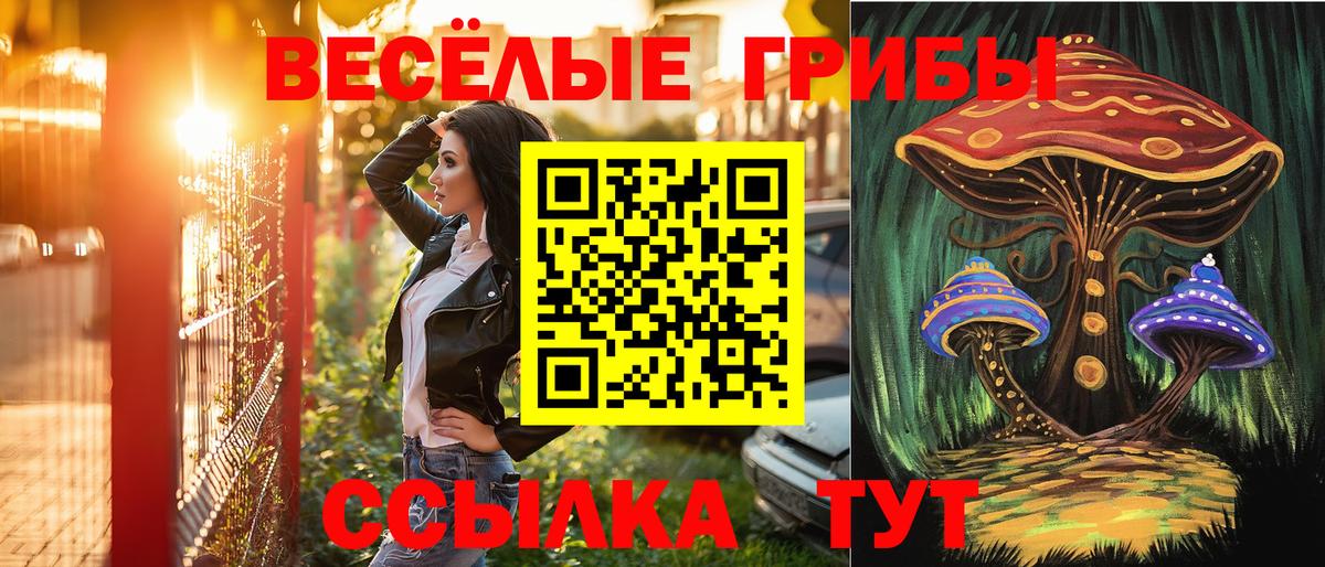 Псилоцибиновые грибы Magic Shrooms Нововоронеж