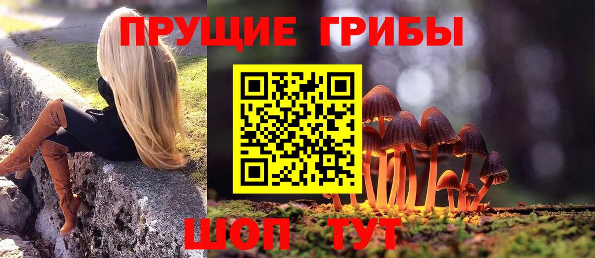 Галлюциногенные грибы MAGIC MUSHROOMS Нововоронеж