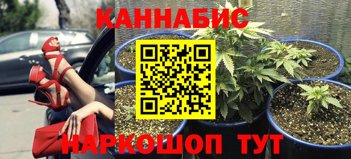 ГАШИШ Нововоронеж